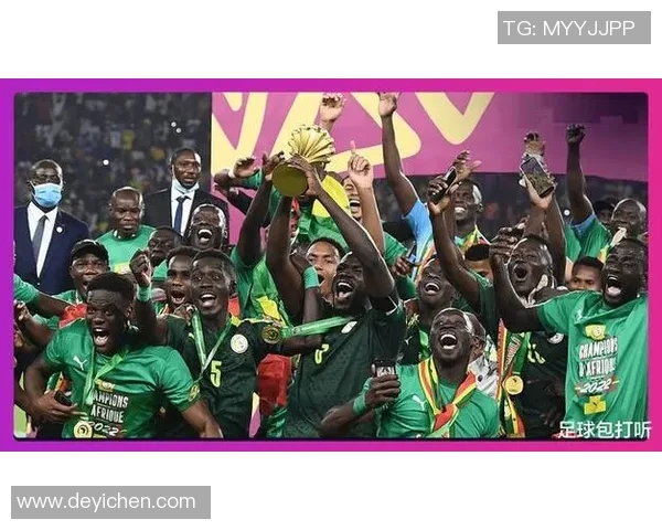 非洲杯精彩对决加纳队迎战强敌全力争胜展现足球魅力