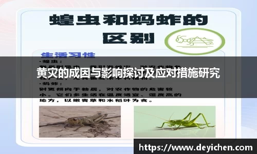 raybet雷竞技首页